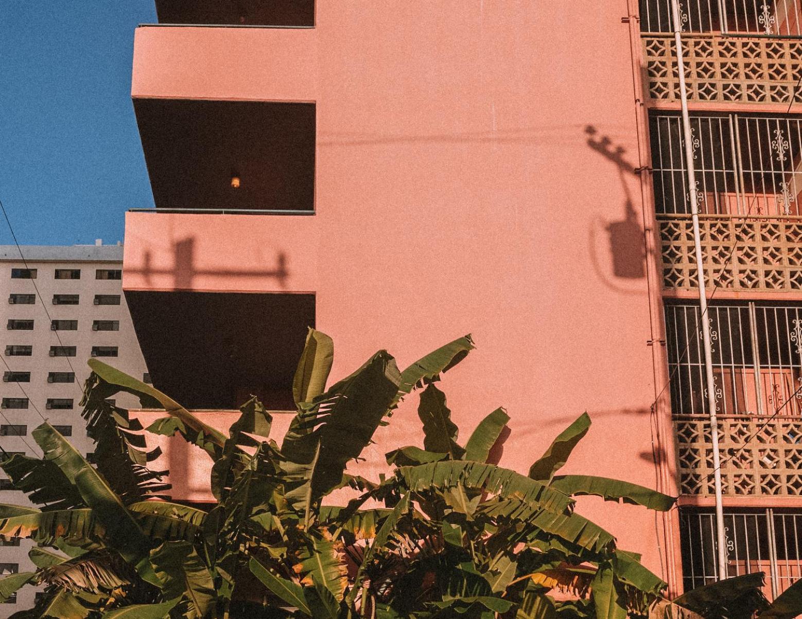 Royal Grove Waikiki Hotel Honolulu Ngoại thất bức ảnh